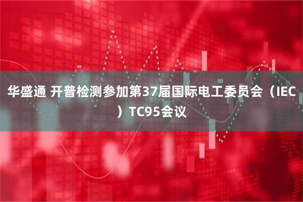 华盛通 开普检测参加第37届国际电工委员会（IEC）TC95会议